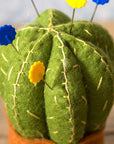 Cactus Pincushion - Felt Hand Stitching Kit, Corinne Lapierre