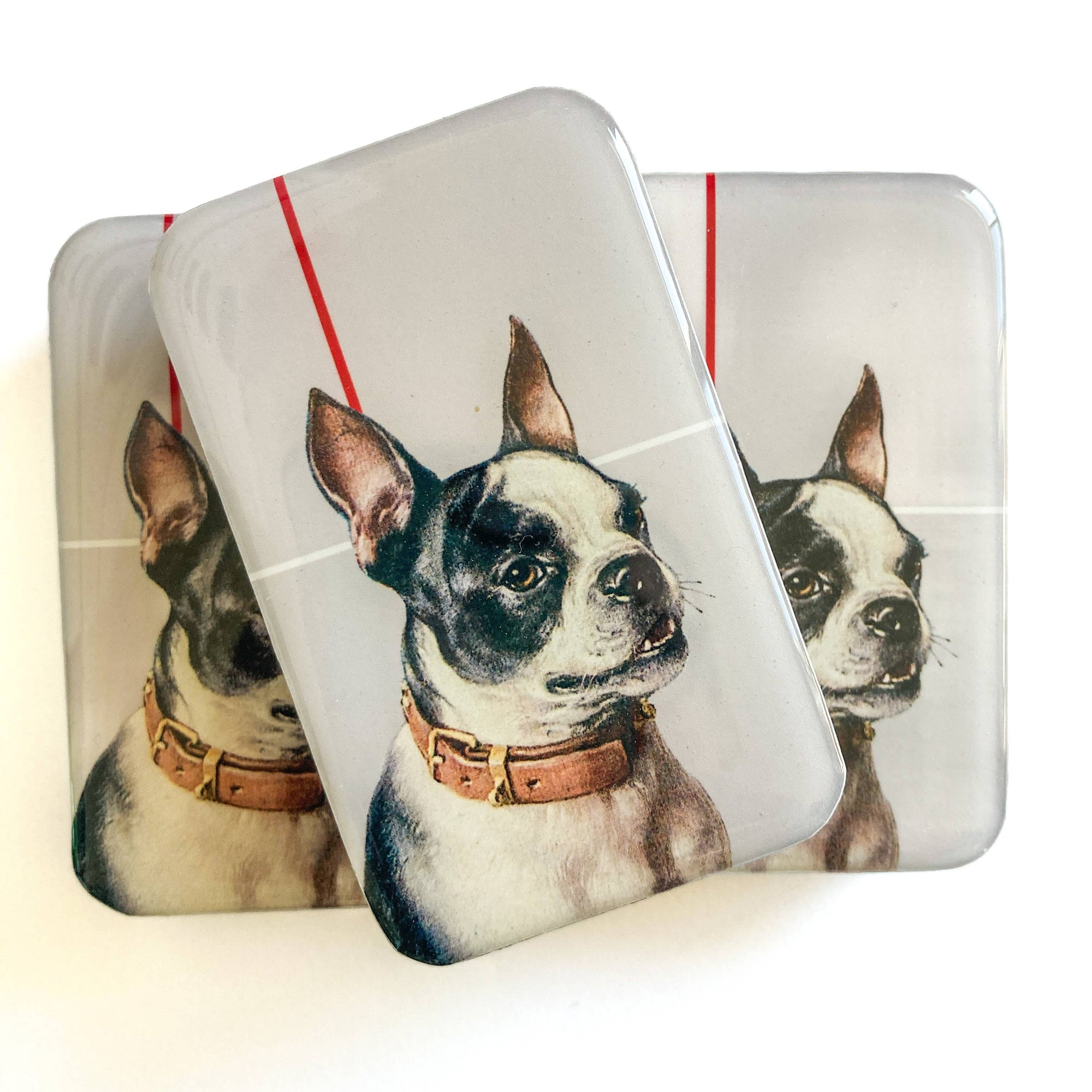 Boston Terrier Notions Tin