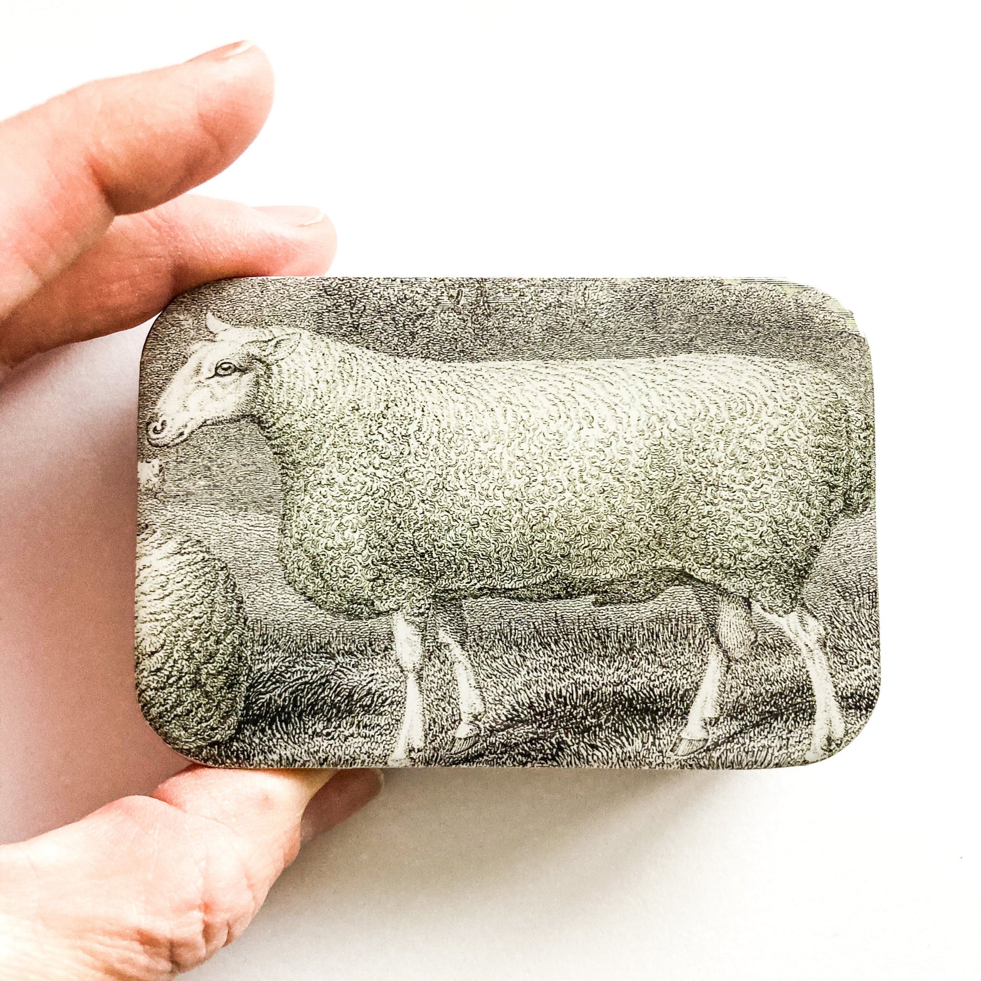 Sheep Notions Tin, Stitch Marker and Yarn Needle