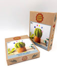 Cactus Pincushion - Felt Hand Stitching Kit, Corinne Lapierre