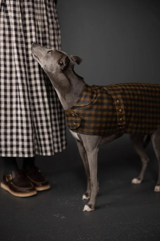 Gingham Organic Cotton Oilskin, Scottish Green