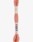 DMC Eco Vita Organic Wool Thread. 301 Lychee Madder