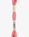 DMC Eco Vita Organic Wool Thread. 402 Magnolia Cochineal
