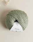 Along Avec Anna. Merino Fingering, Jade