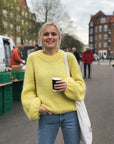 Holiday Sweater, Petite Knit. Knitting Pattern