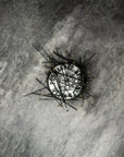 Pin Magnet