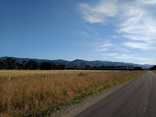 an image of a dirt road on the right of the image next to a field of golden grass complimenting the blue sky with fluffy white clouds light sprinkled to the right of the screen