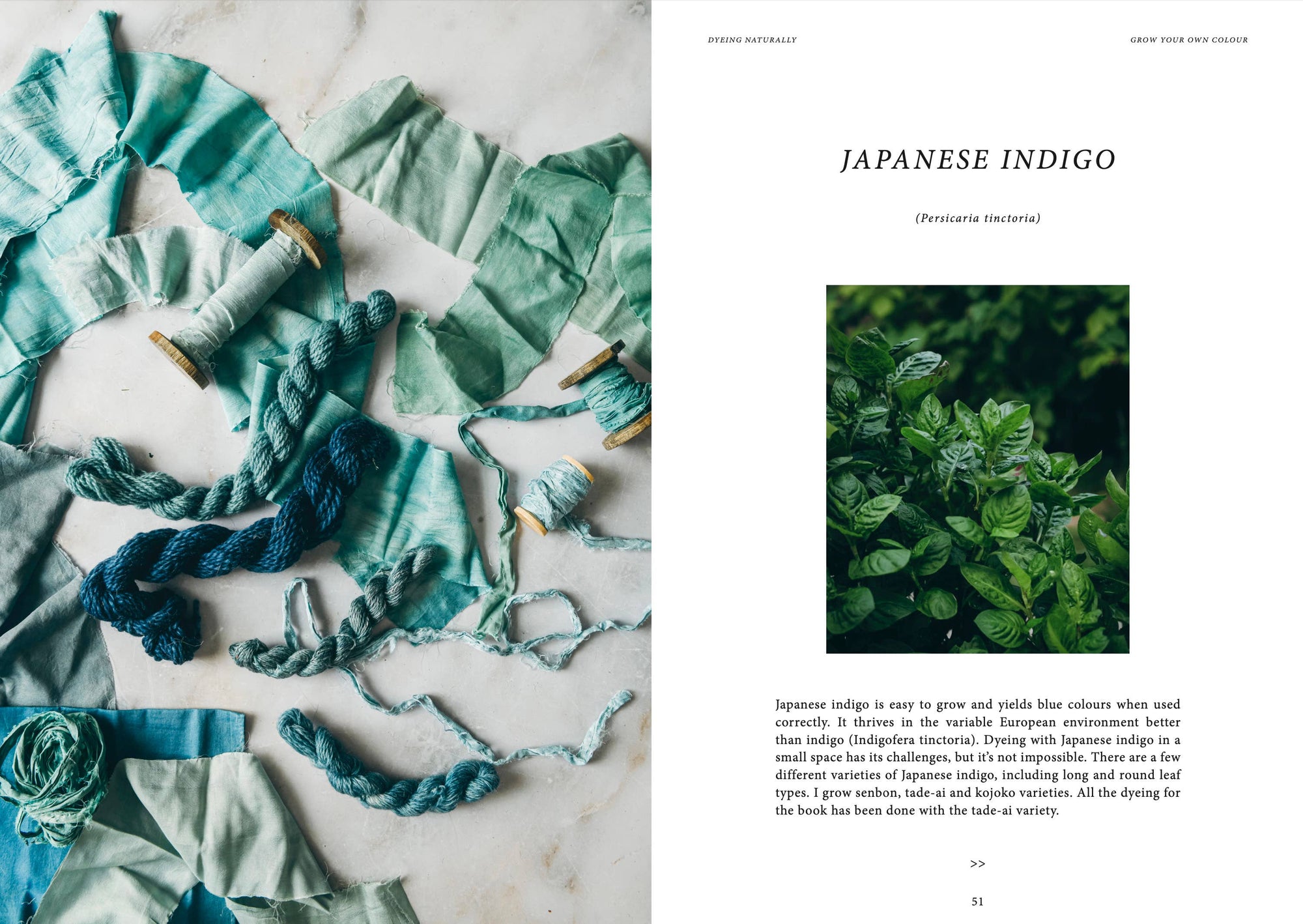 Crafts &amp; Knitting: Dyeing Naturally