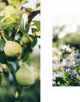 Knits from Our Gardens