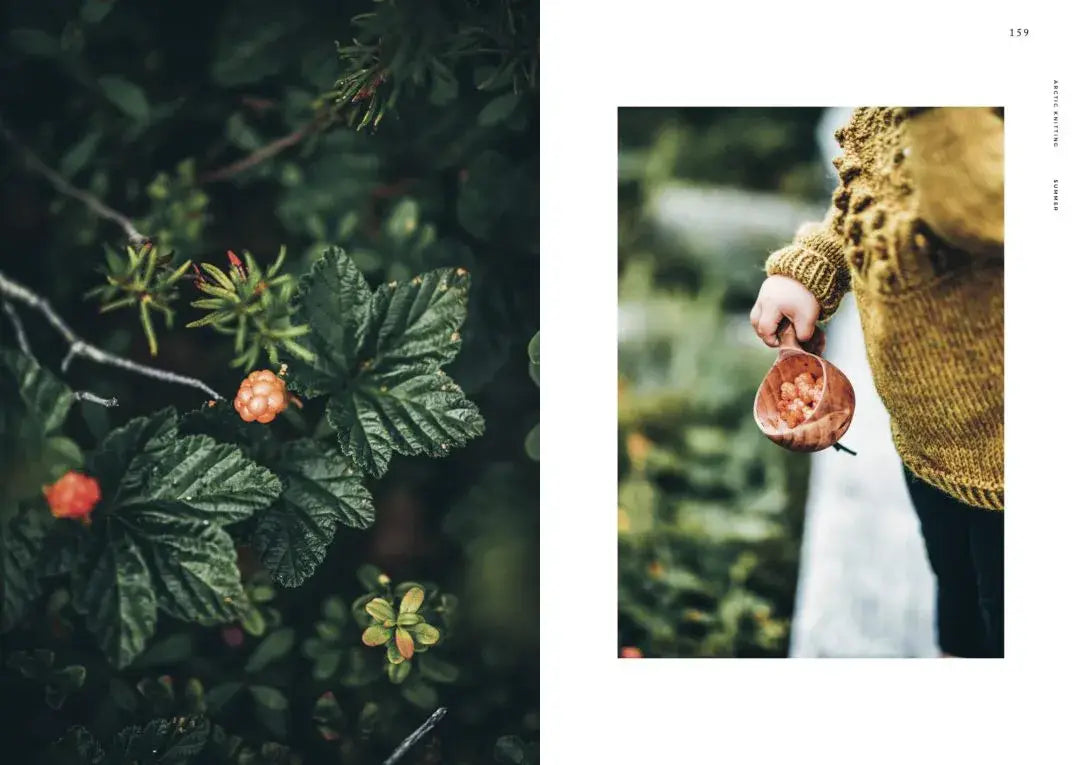 Arctic Knitting, The Magic of Nature and Colourwork