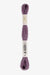 407 Aster Cochineal