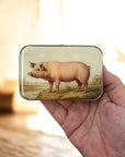 Vintage Pig Notions Tin