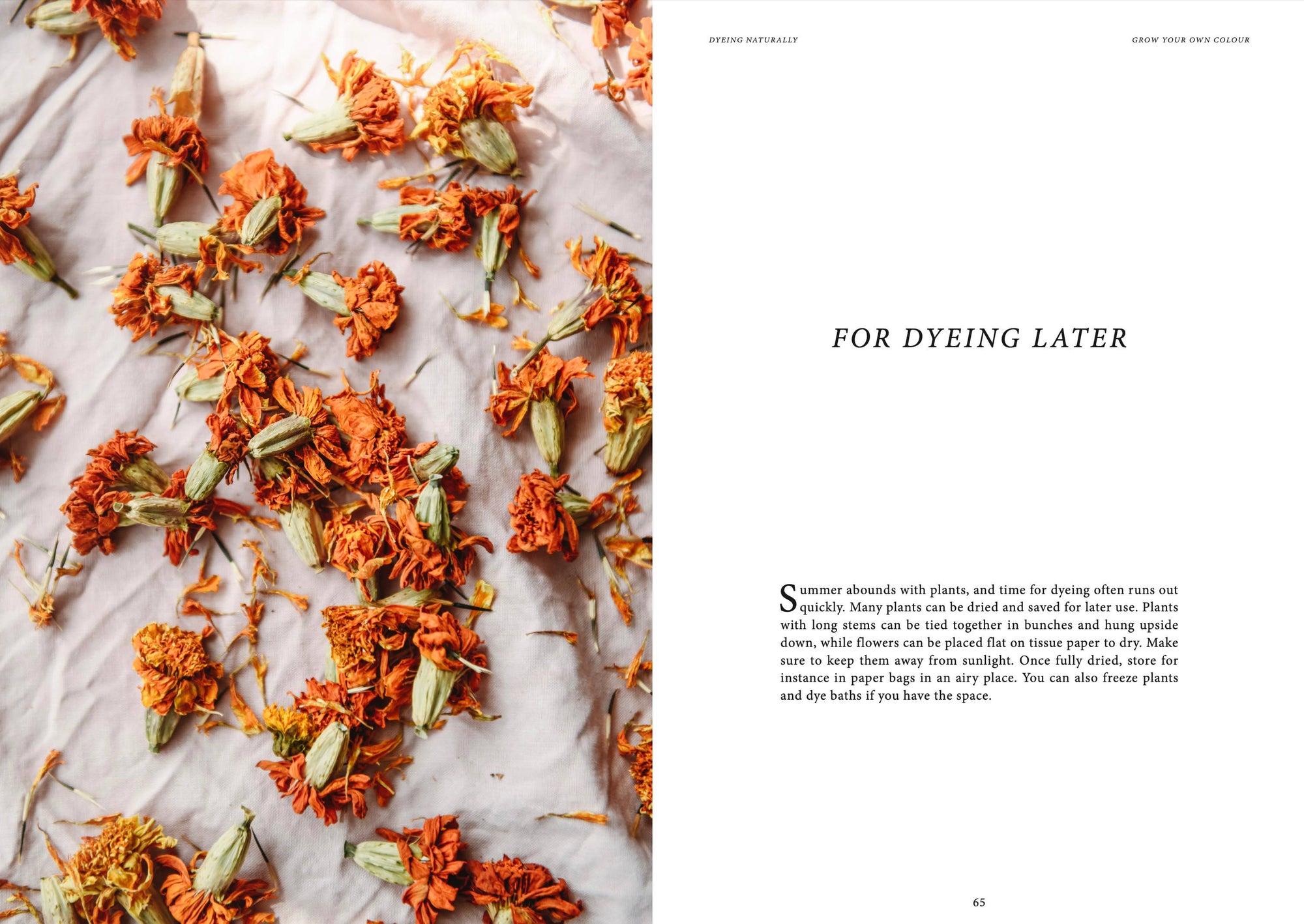 Crafts &amp; Knitting: Dyeing Naturally