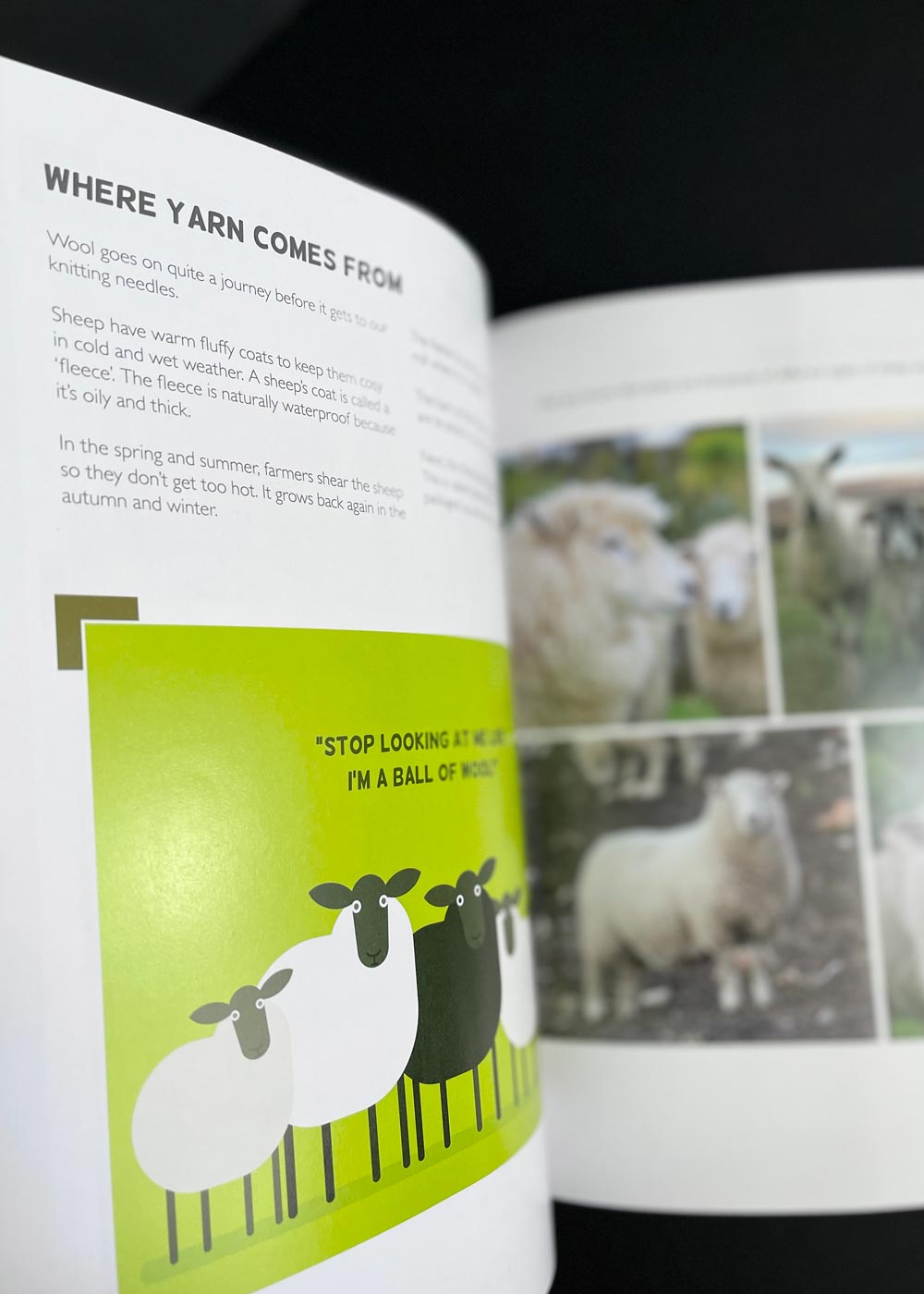 Kids Knit, Learn to knit book