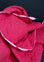 Bright Red