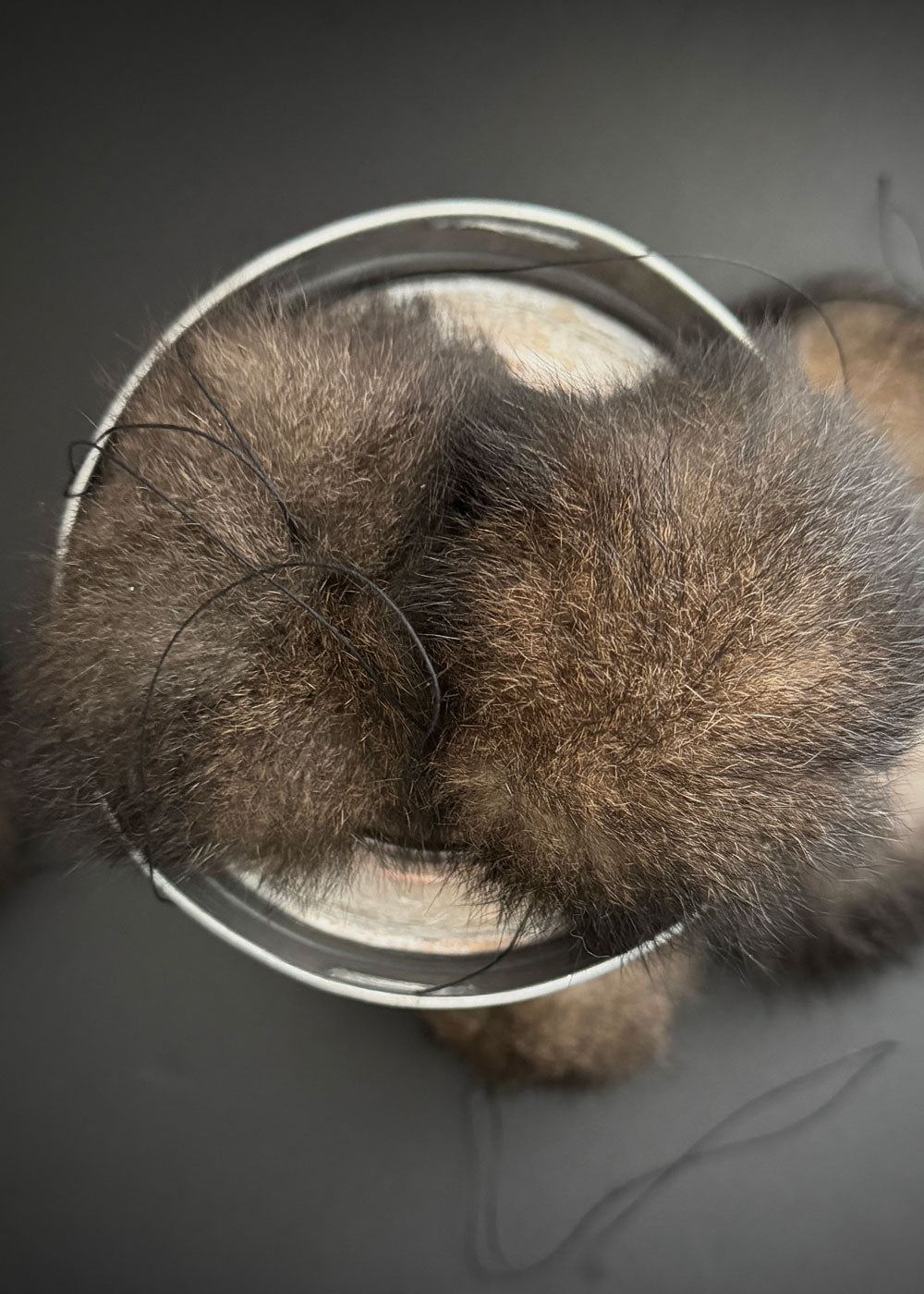 Possum Fur Pom Poms - Natural Dark Brown