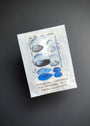 Seashell Stitch Marker Set