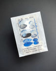 Seashell Stitch Marker Set