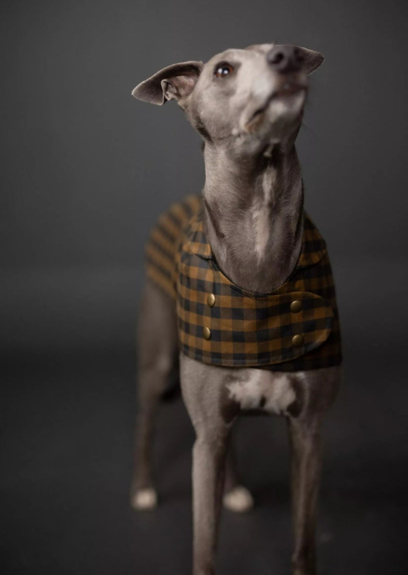 Merchant & Mills The Barka Dog Coat