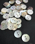 Shell Buttons, Raw. various sizes